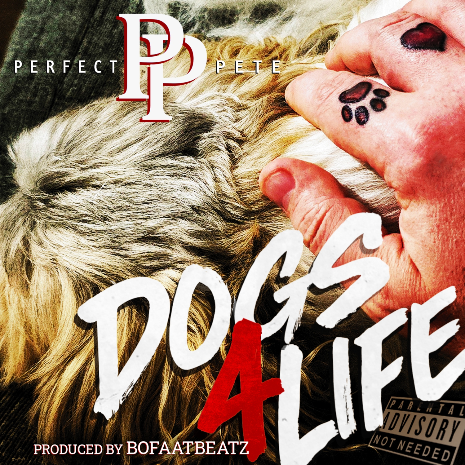 Dogs 4 Life cover