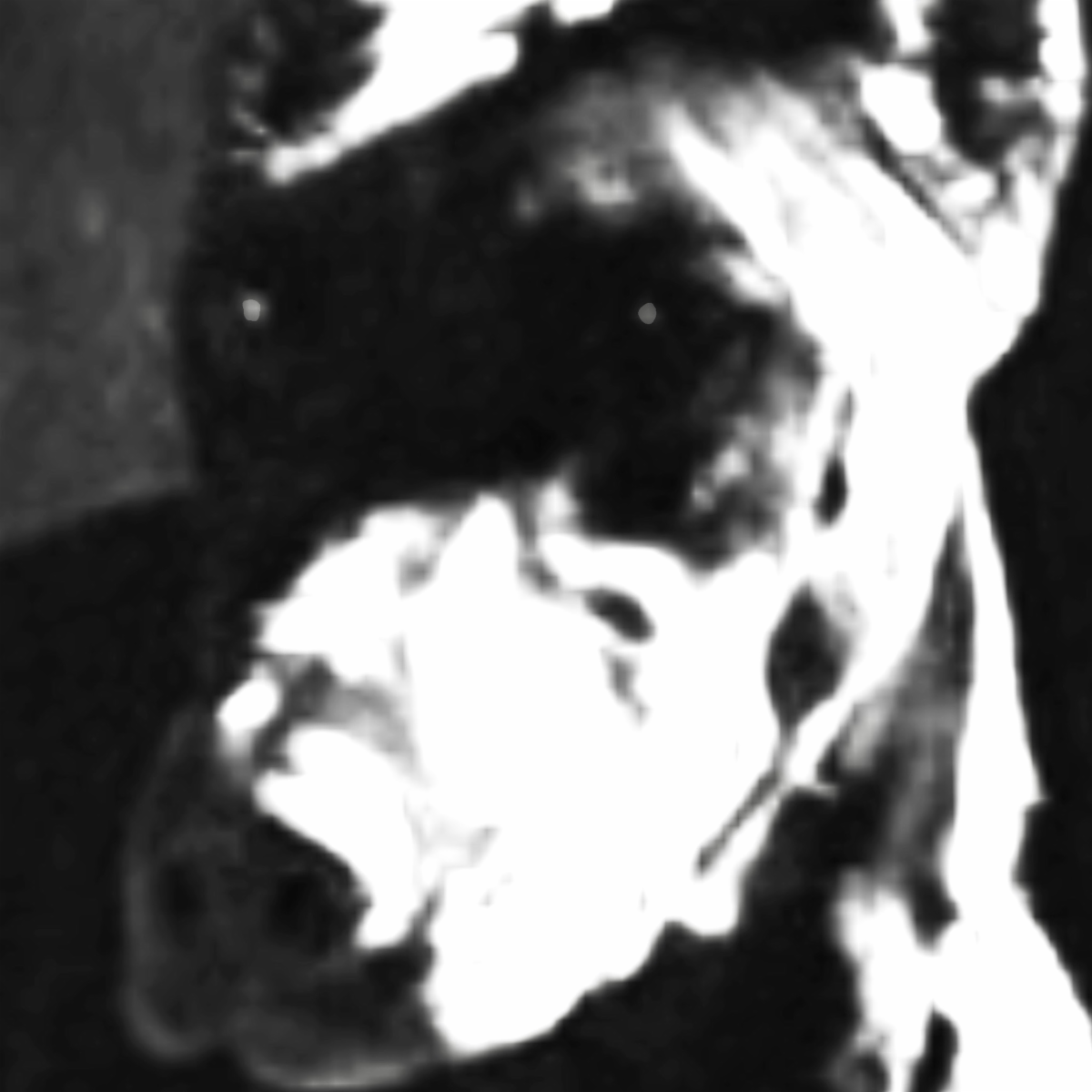 UNTILJAPAN RETURNS WITH NEW SINGLE “DOGFOOD”