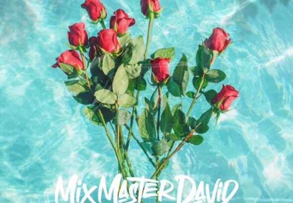 Mix Master David Feat. LuLe – Shake Sumn Pretty