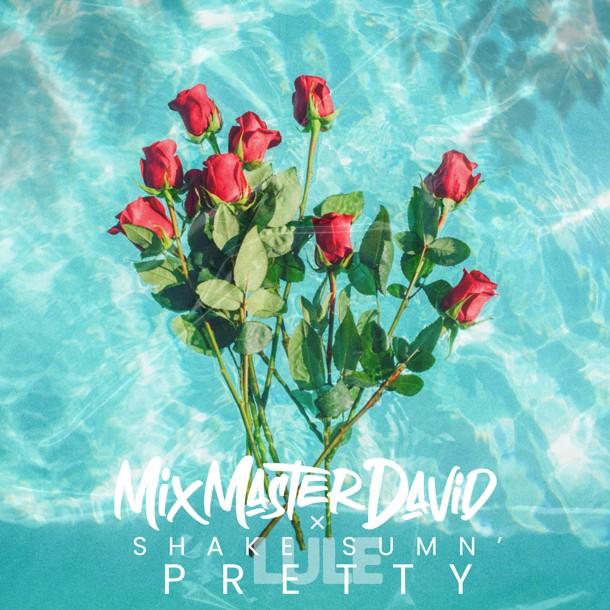 Mix Master David Feat. LuLe – Shake Sumn Pretty